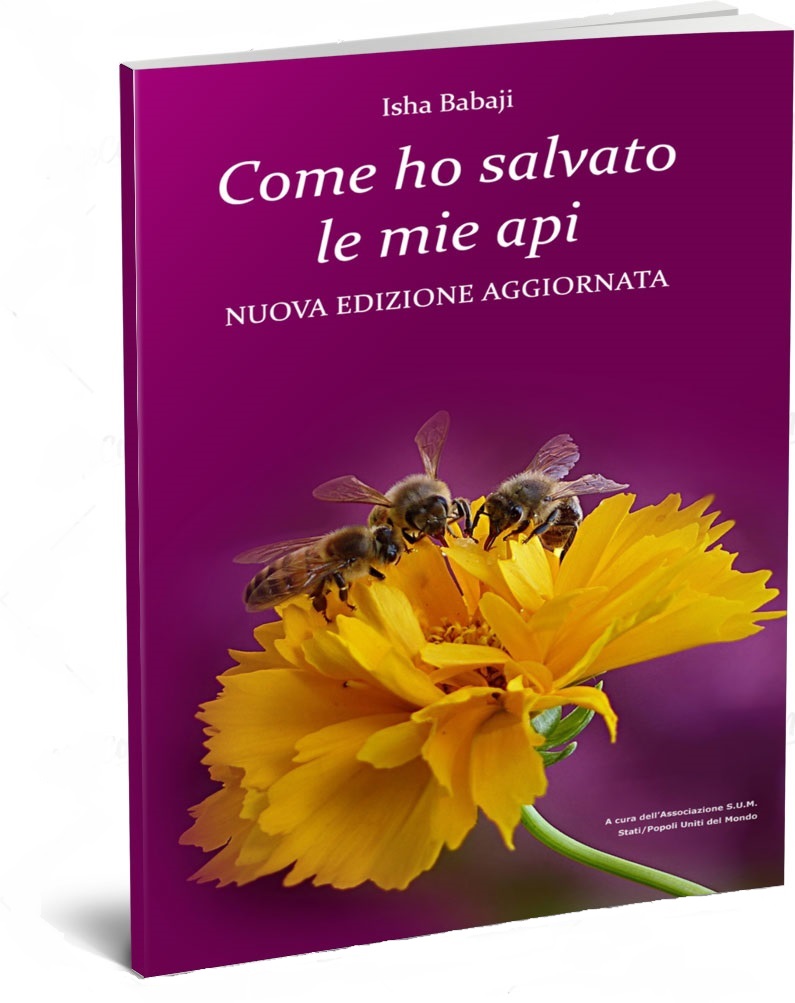 Come ho salvato le mie api copertina ridotta