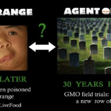 Roundup: il nuovo agente arancio della Monsanto?