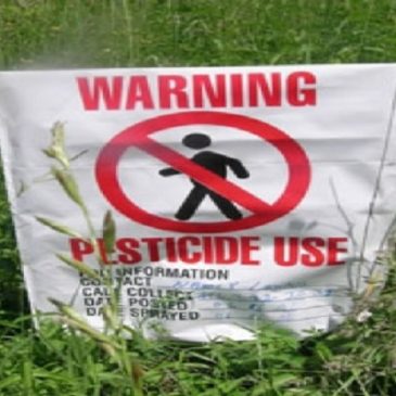 Pesticidi cancerogeni, teratogeni e mutageni sono ancora permessi in Italia