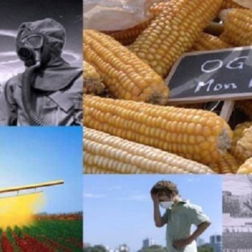 Monsanto rinuncia all’Europa? No, cambia solo strategia!
