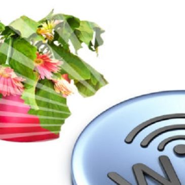 Studio danese sull’ inquinamento elettromagnetico:  piante poste vicino a router wi-fi non crescono!