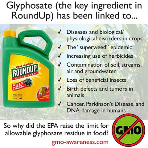 glyphosate