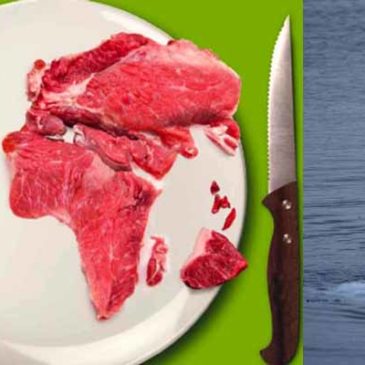 Clima: consumando carne causiamo lo scioglimento dei poli e la distruzione del Pianeta!
