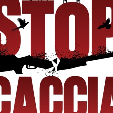 Stop alla caccia: iniziativa popolare contro il Ddl “sparatutto”