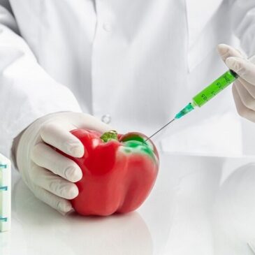 L’accordo per la deregulation sui nuovi OGM va bocciato nelle aule